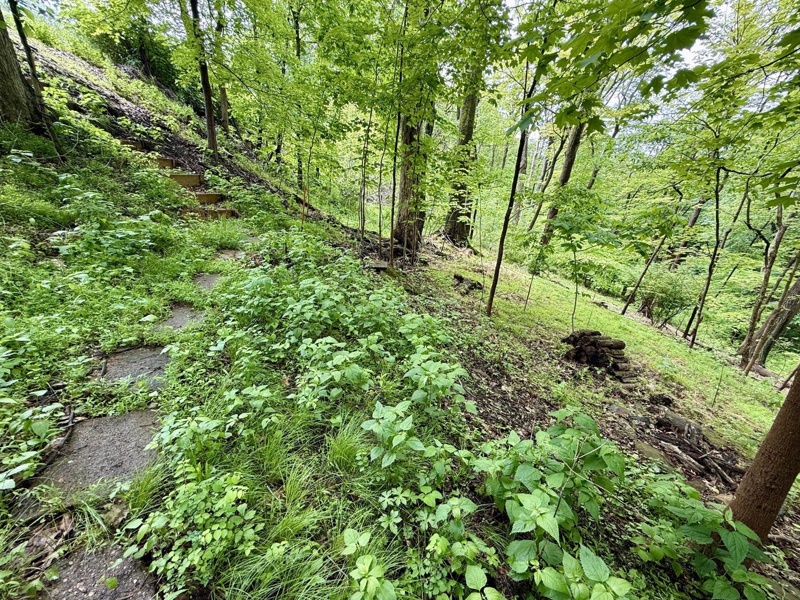 Forest 1 — Urban Spa Retreat, Monroeville PA
