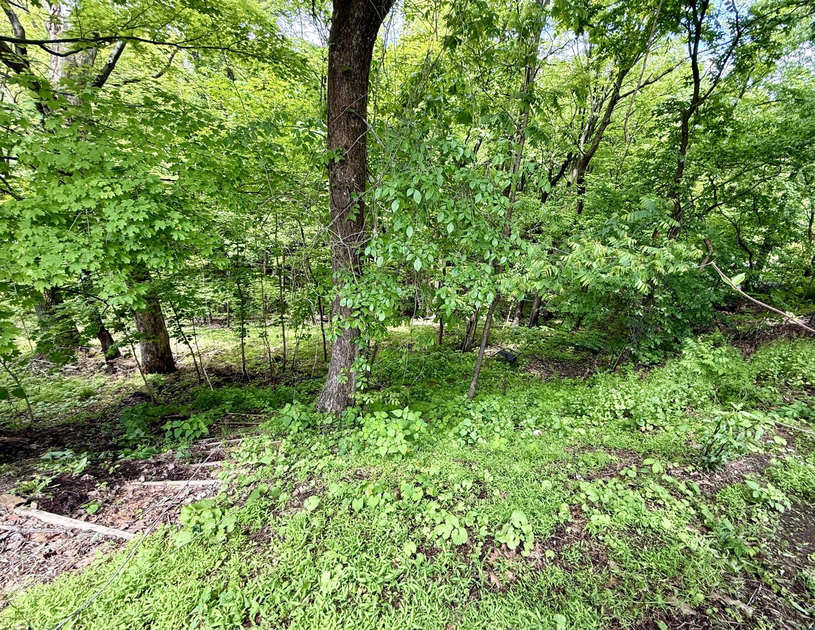 Forest 2 — Urban Spa Retreat, Monroeville PA