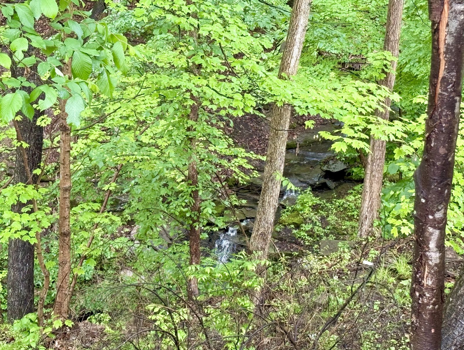 Forest Waterfall — Urban Spa Retreat, Monroeville PA